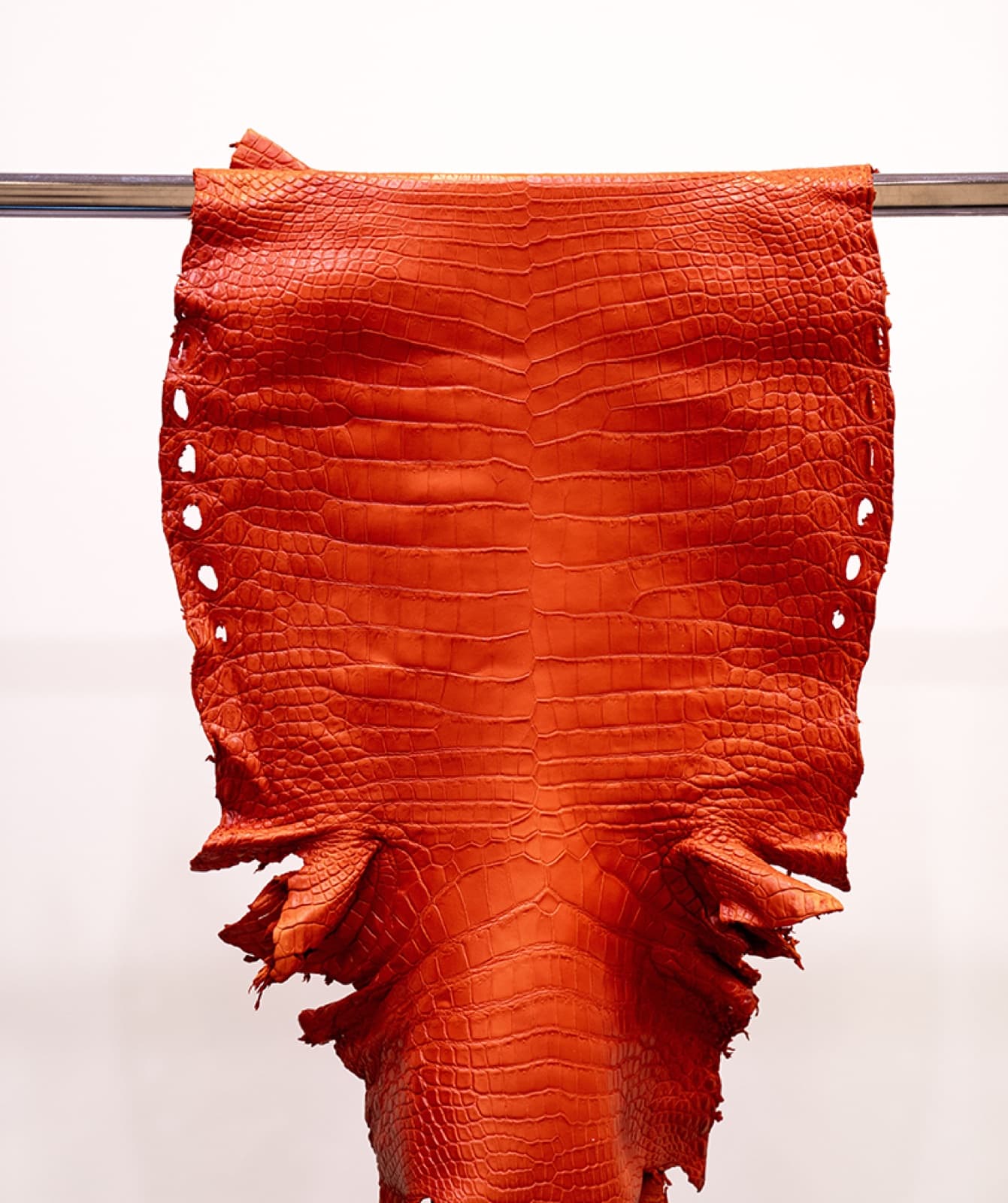 Arancio Ribelle