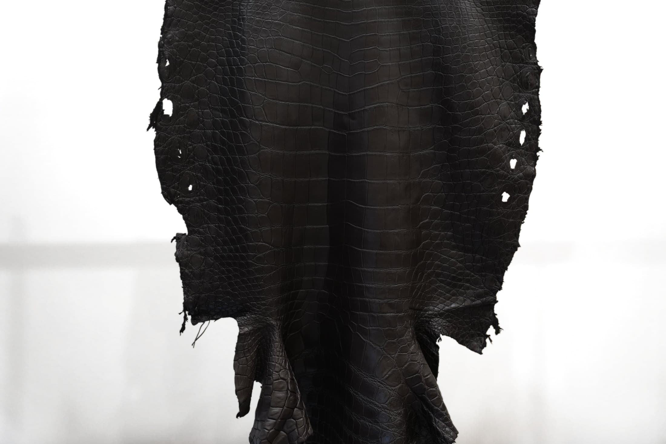 Crocodile hide detail