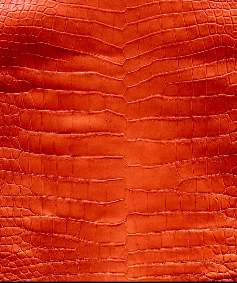 Arancio Ribelle