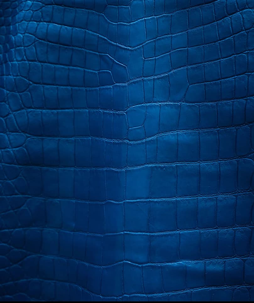 Blu Marino